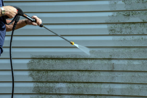 Deck Cleaning Services in Glendale, WI